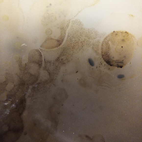 Dendretic Agate Heart - Picture 9 of 10